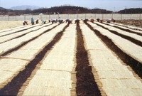 한천공장
