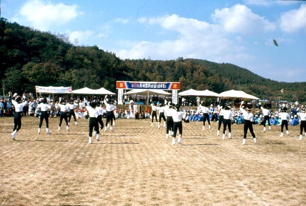 제13회 군민의날