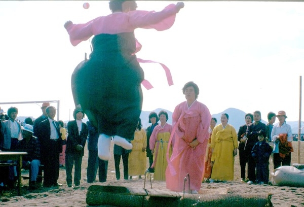 제13회 군민의날