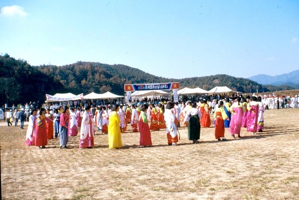 제13회 군민의날