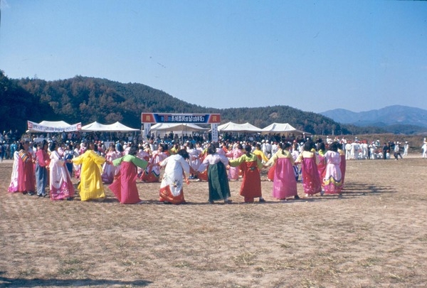 제13회 군민의날