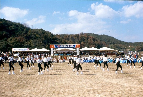 제13회 군민의날