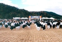 제13회 군민의날