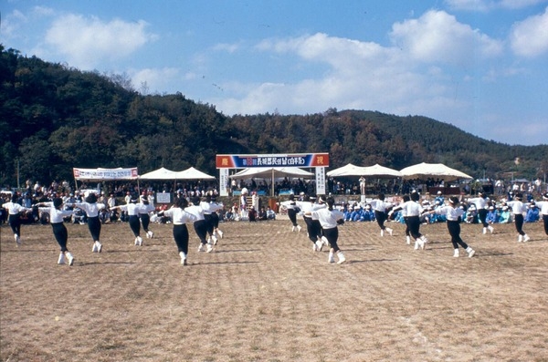 제13회 군민의날