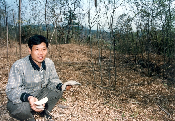 홍길동 자료사진(홍길동생가터)