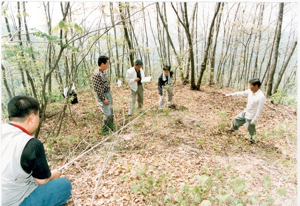 홍길동 자료사진(홍길동 조부의 묘)