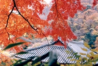 96년도 관광사진전