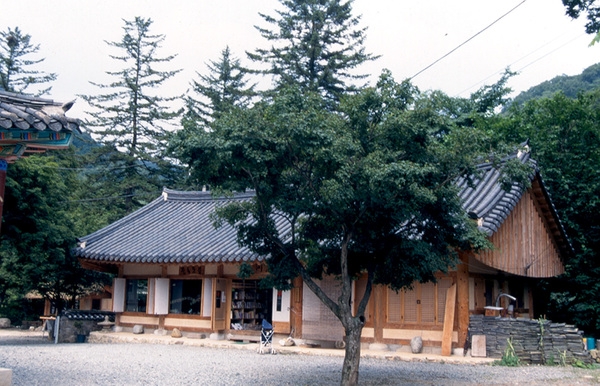 사진전(백양사 찻집)
