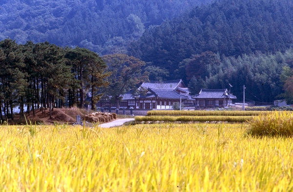 사진전(장성향교)