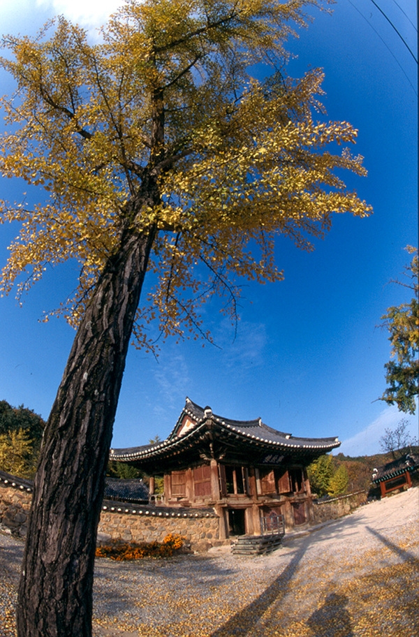 사진전(필암서원)