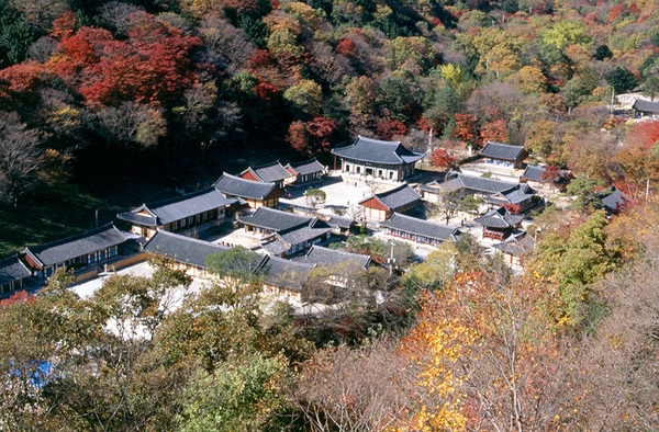 사진전(백양사)