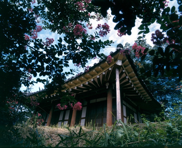 사진전(요월정)
