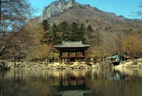 사진전(백양사 쌍계루)