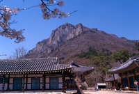사진전(백양사)