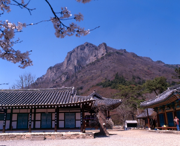사진전(백양사)