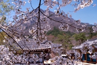 사진전(백양사)