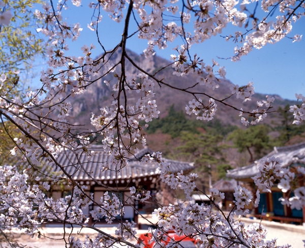 사진전(백양사)