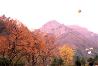 사진전(백암산 가을)