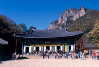 사진전(백양사)