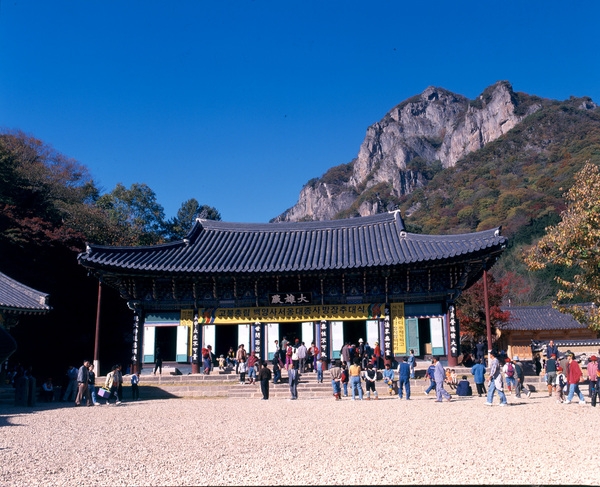 사진전(백양사)