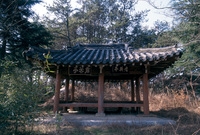 사진전(기영정)