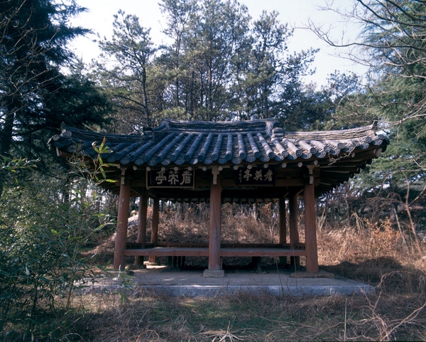 사진전(기영정)