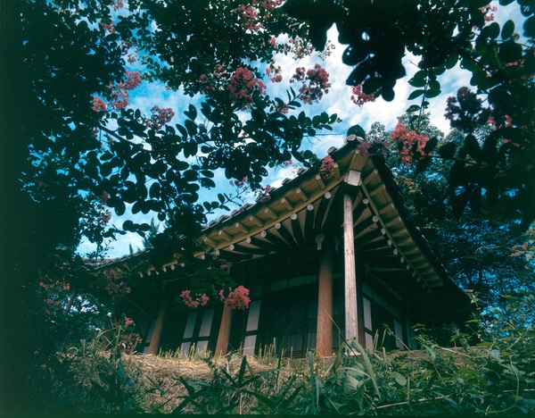 사진전(요월정)
