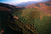 사진전(축령산)