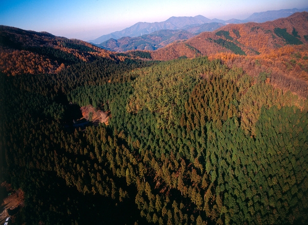 사진전(축령산)