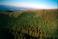 사진전(축령산)
