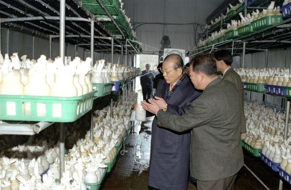 2002군.읍면정보고회(북이면 현장방문)