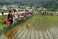 2002친환경 농업 오리입...