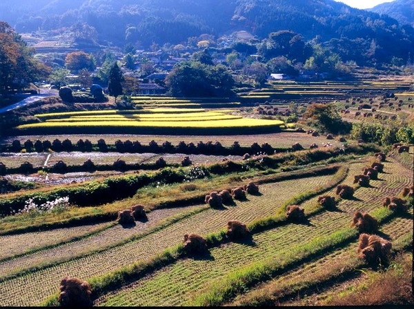 제3회 관광 사진전