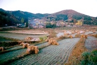 제3회 관광 사진전