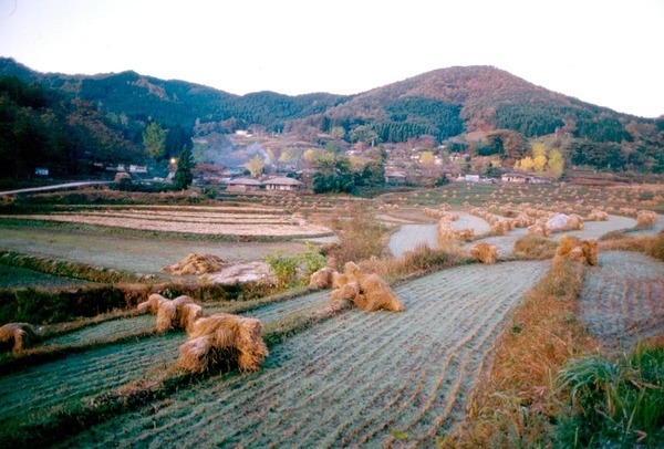 제3회 관광 사진전
