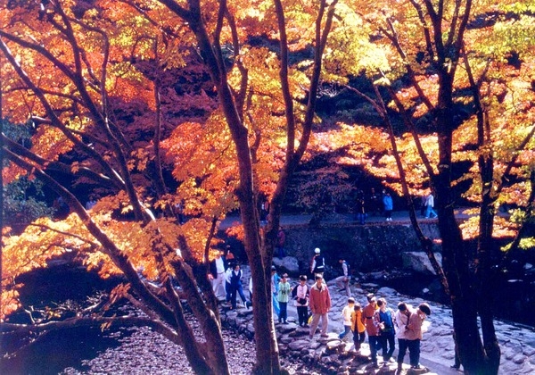 제3회 관광 사진전