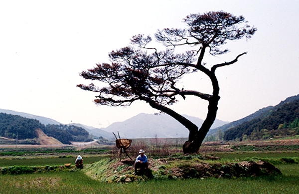 제3회 관광 사진전