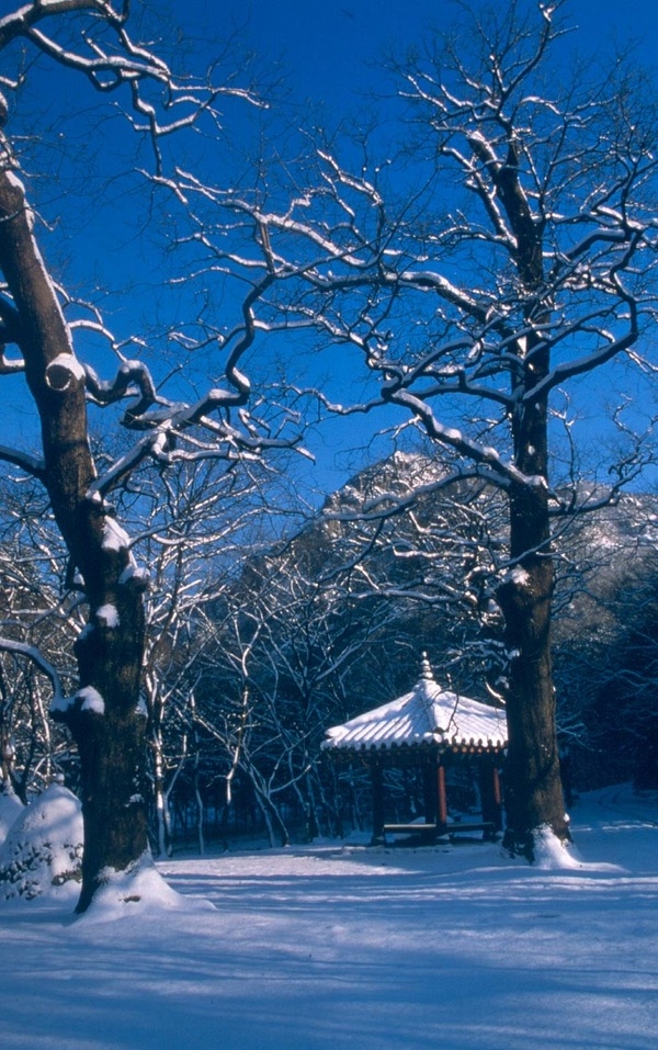 제3회 관광 사진전