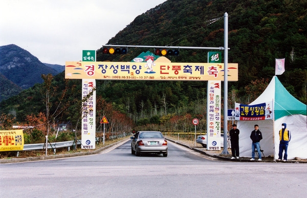 제7회 백양단풍축제