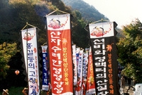 제7회 백양단풍축제