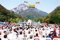 제7회 백양단풍축제