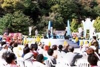 제7회 백양단풍축제