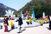 제7회 백양단풍축제