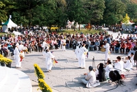 제7회 백양단풍축제