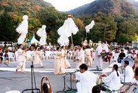 제7회 백양단풍축제