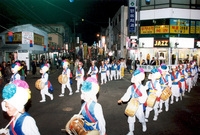 제7회 백양단풍축제