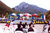 제7회 백양단풍축제