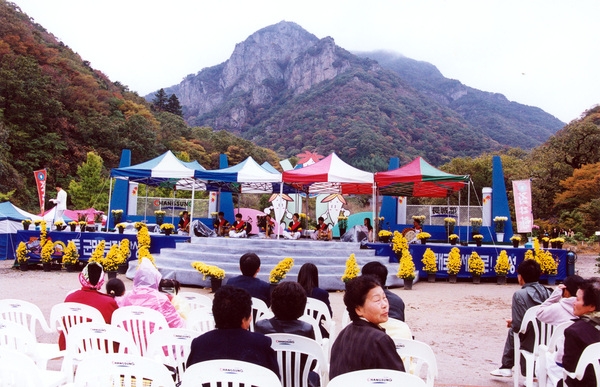 제7회 백양단풍축제