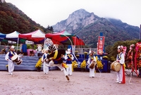 제7회 백양단풍축제