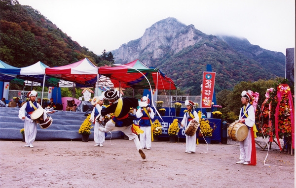 제7회 백양단풍축제